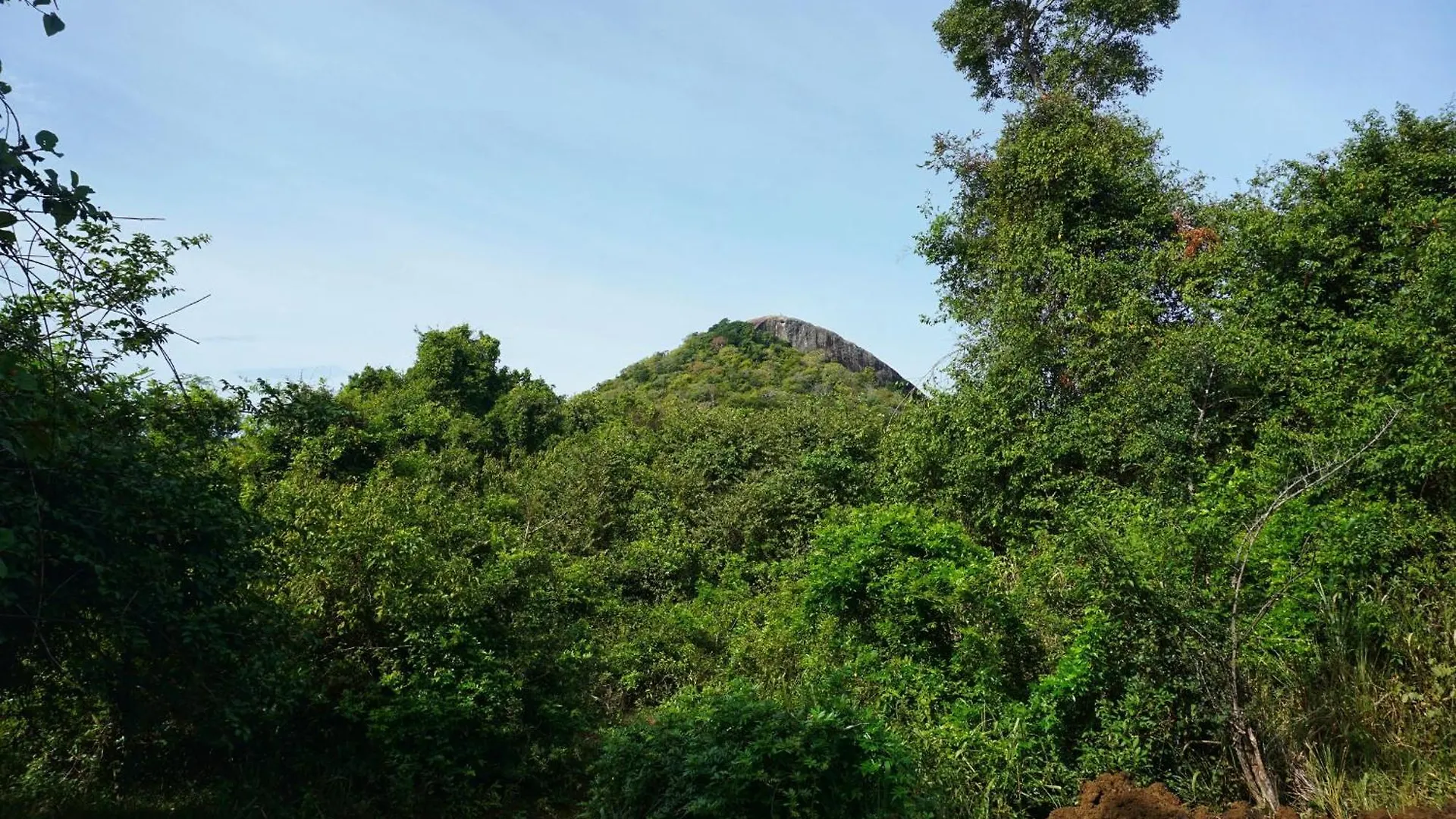 Rana Treehouse Bed & Breakfast Piduragala 0*,  Sri Lanka