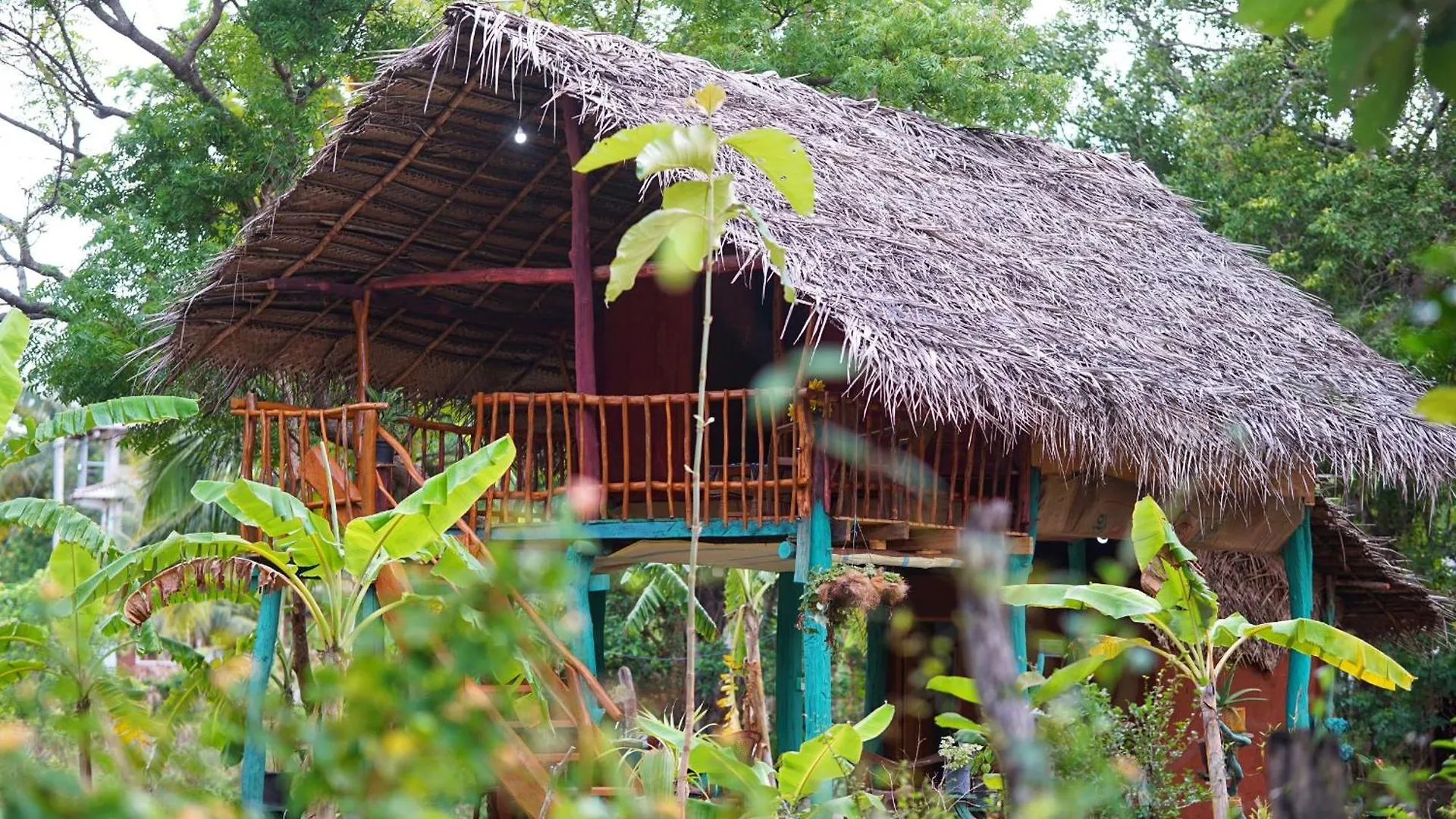 Rana Treehouse Bed & Breakfast Piduragala Sri Lanka