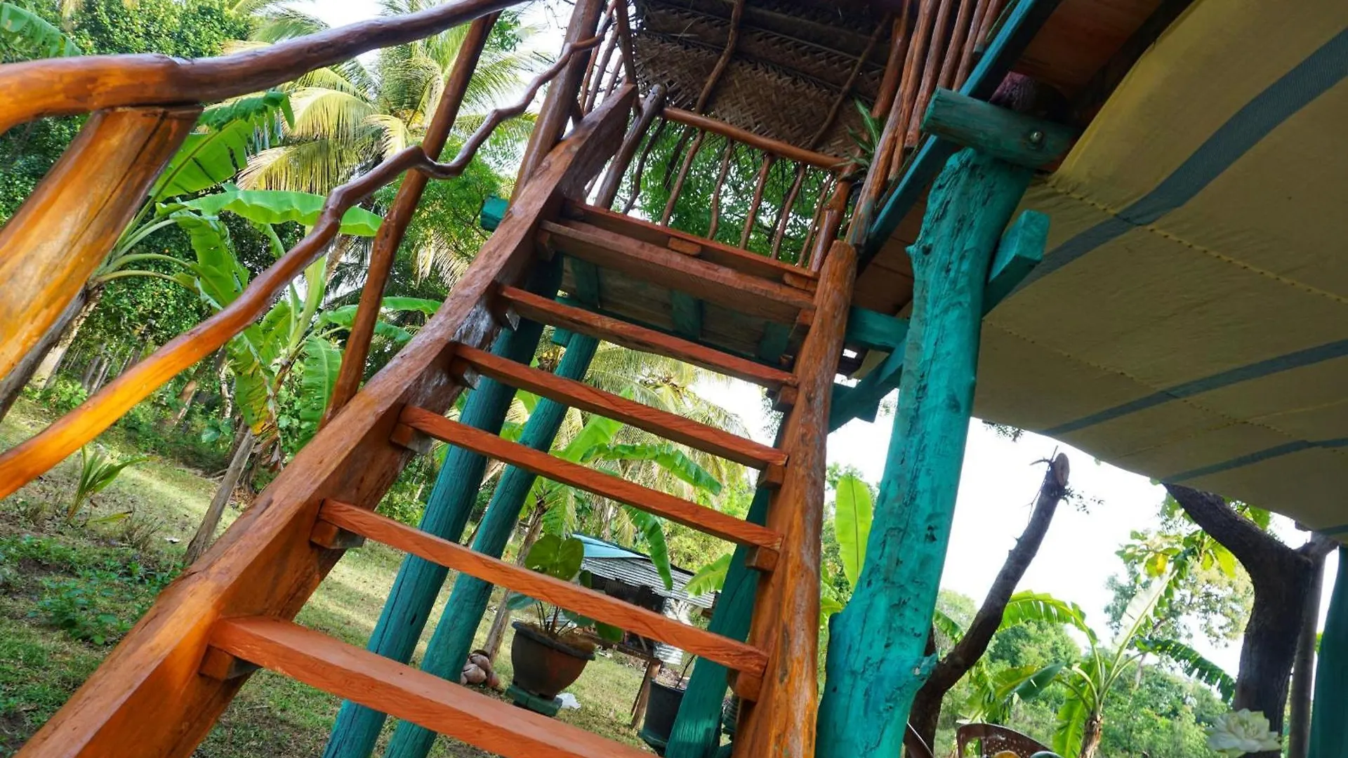 Rana Treehouse Bed & Breakfast Piduragala