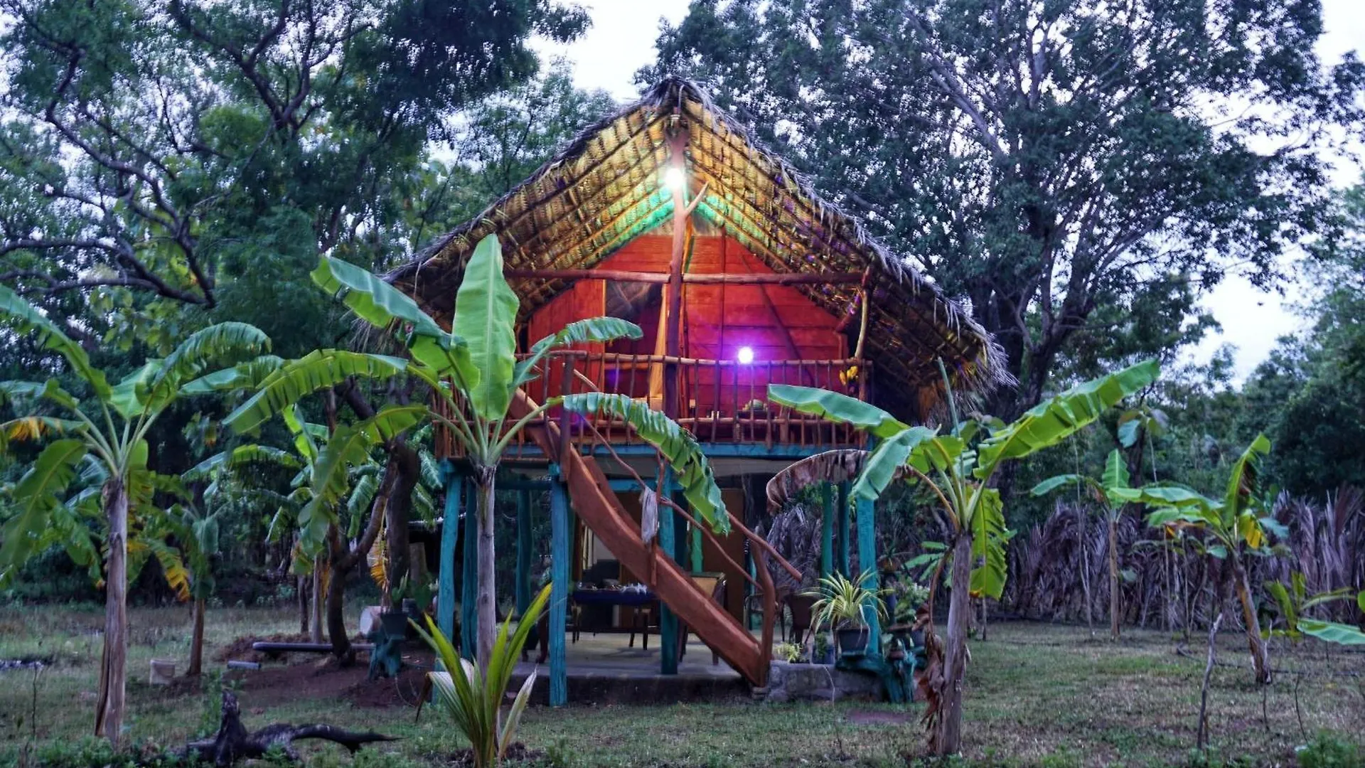 Rana Treehouse Bed & Breakfast Piduragala
