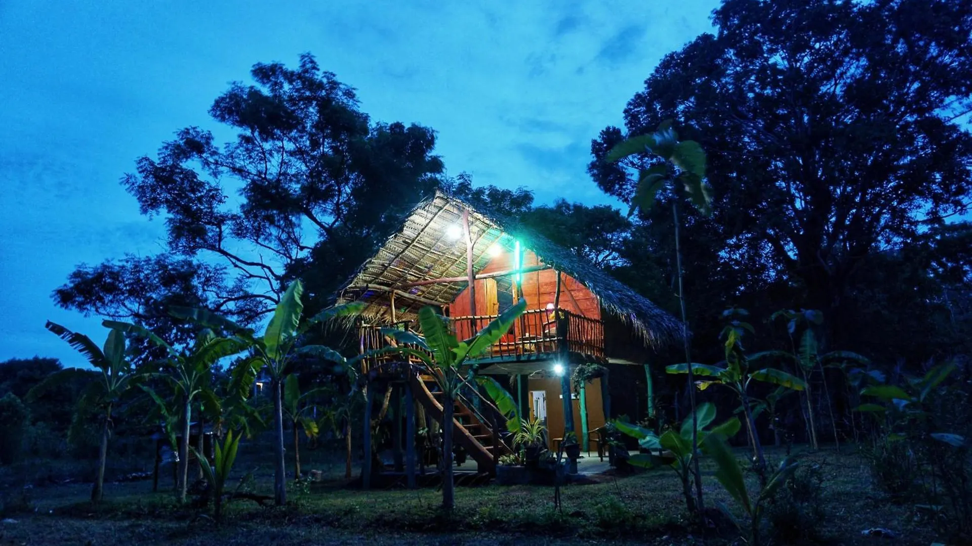 Rana Treehouse Bed & Breakfast Piduragala