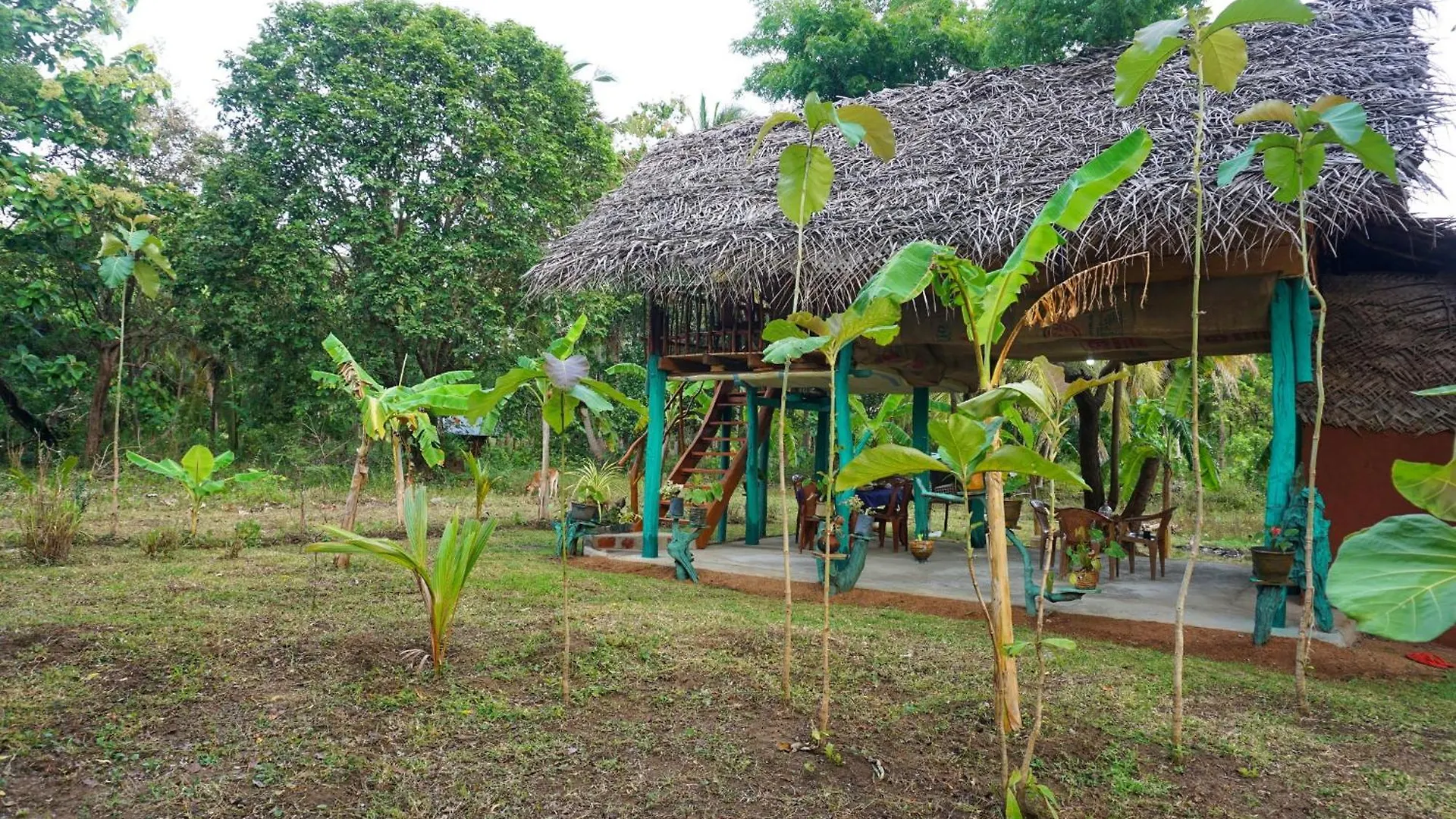 Rana Treehouse Bed & Breakfast Piduragala