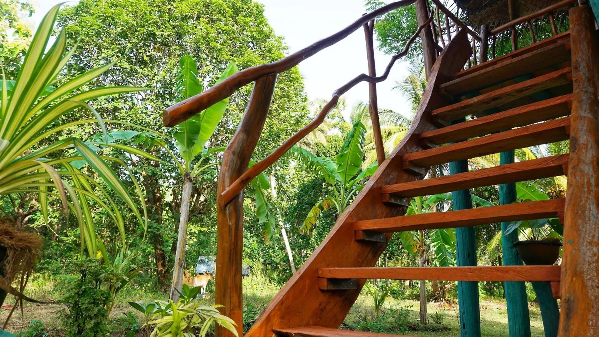 Rana Treehouse Bed & Breakfast Piduragala 0*,
