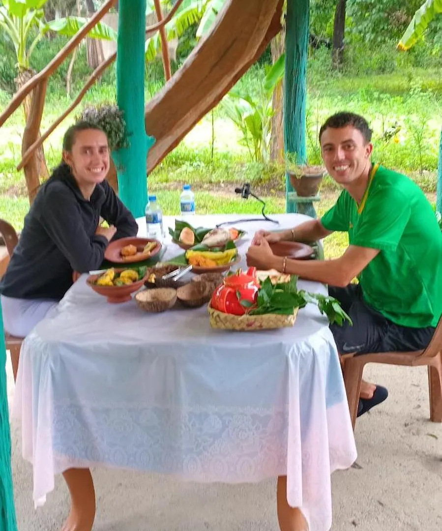 Rana Treehouse Bed & Breakfast Piduragala